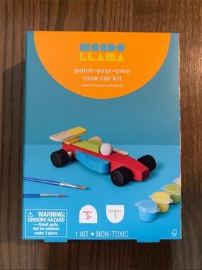 Mondo Llama Paint-Your-Own Race Car Kit